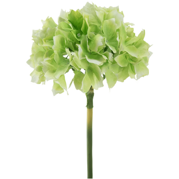 Lime Green Hydrangea Stem