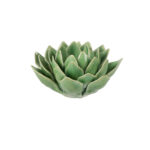 Succulent-Bloom-Ceramic-Candle-Holder